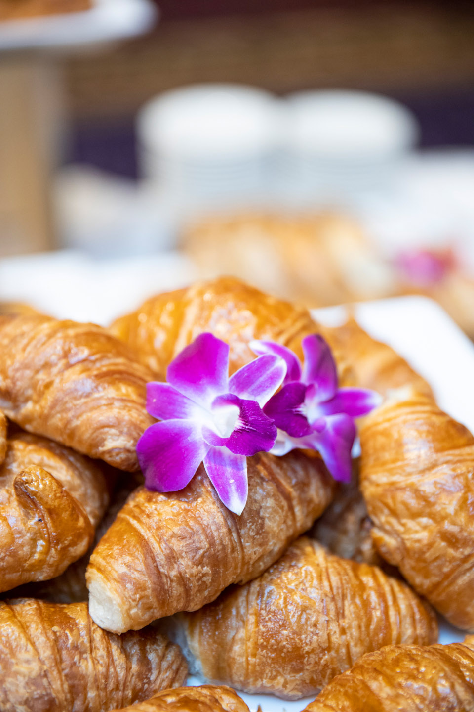 Broker Fair 2019 - Presented by deBanked - 173