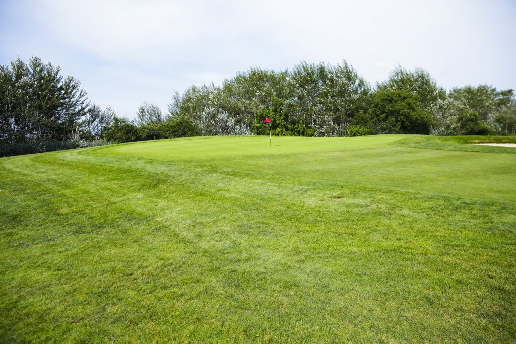 20170828_DEBANKED_GOLF_1036