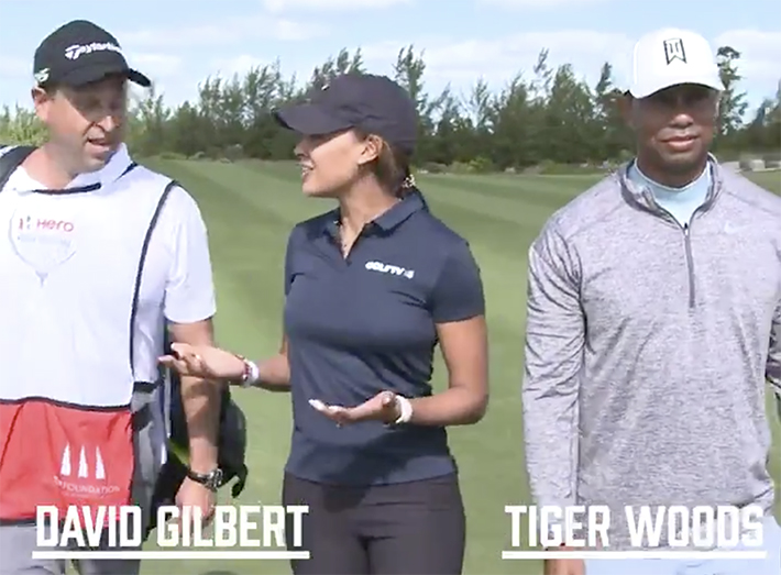 David Gilbert - Tiger Woods